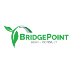 Bridge Point