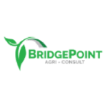 bridge-point-logo