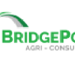 bridge-point-logo